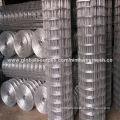 Welded wire mesh, widely used in industries, agriculture and building